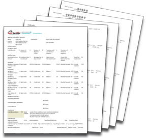 tenant background check sample